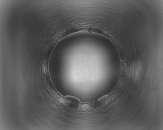 X0000054440287200507291326