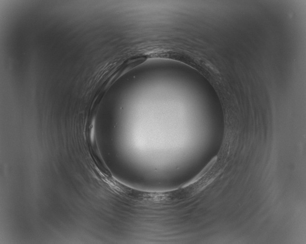X0000054440288200507291326
