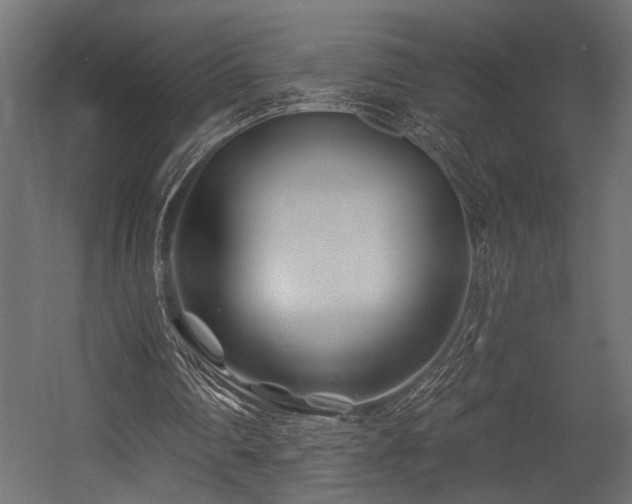 X0000054440290200507291325