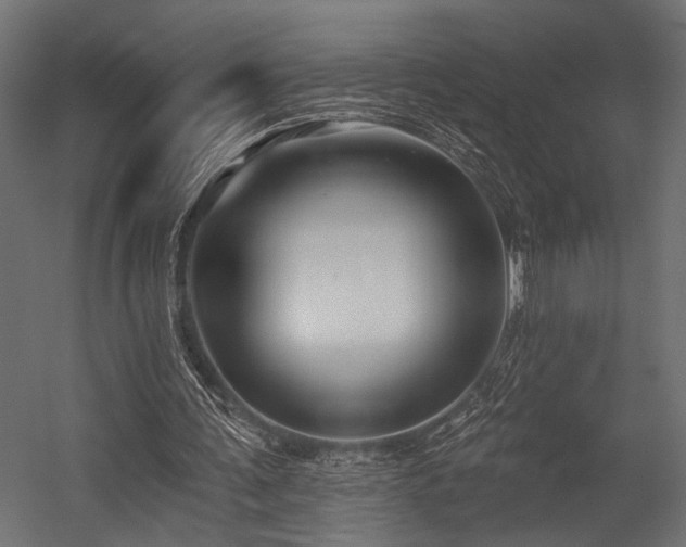 X0000054440291200507291325