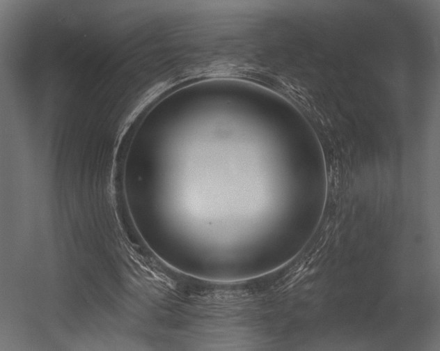 X0000054440292200507291325