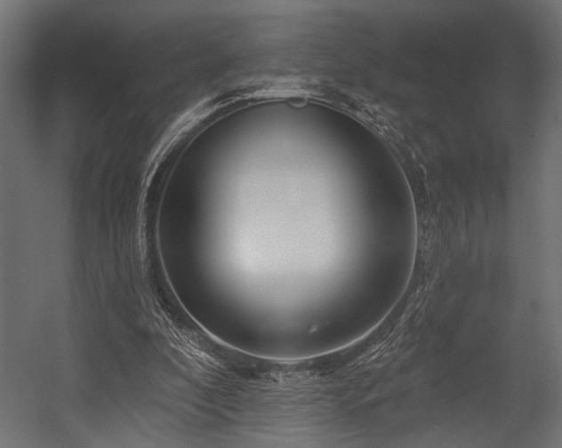 X0000054440296200507291325