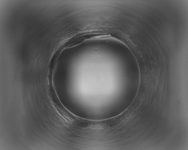 X0000054440299200507291325