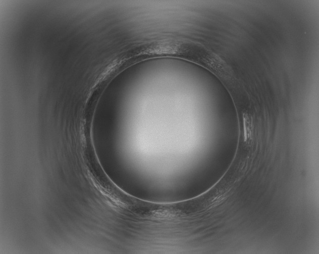 X0000054440300200507291325