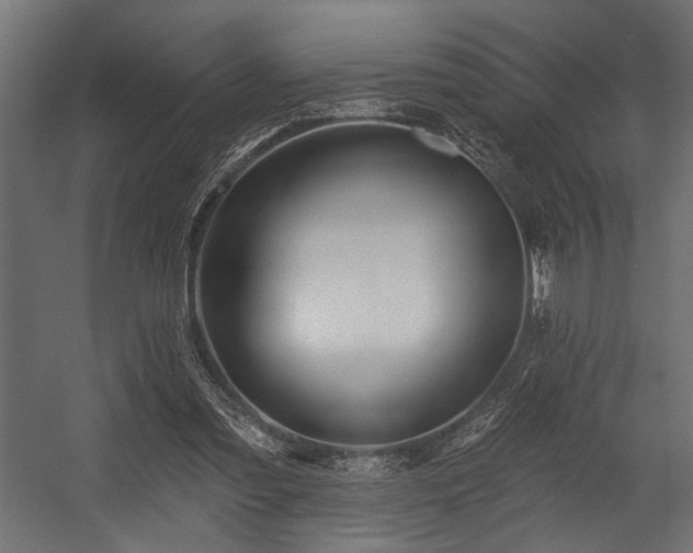 X0000054440301200507291325