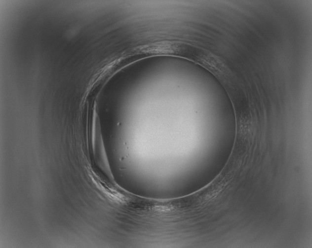 X0000054440302200507291325