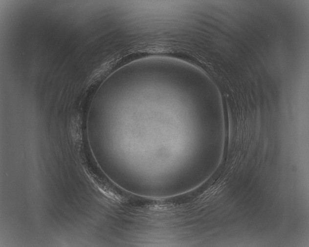 X0000054440303200507291325
