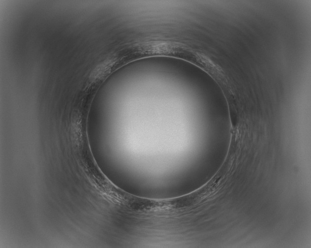 X0000054440306200507291325