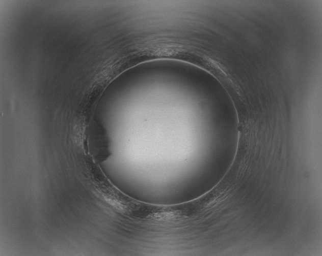 X0000054440307200507291325