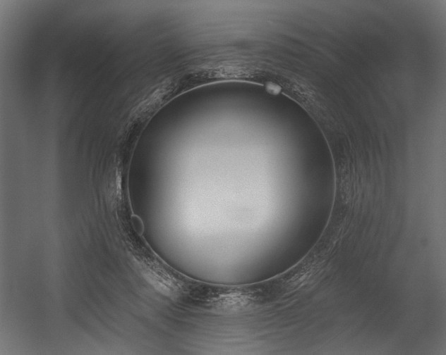X0000054440310200507291325