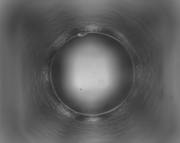 X0000054440313200507291324