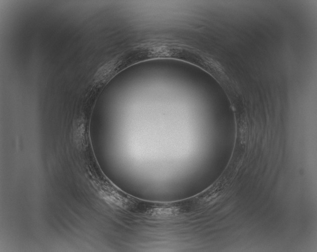 X0000054440314200507291324