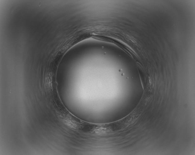 X0000054440315200507291324