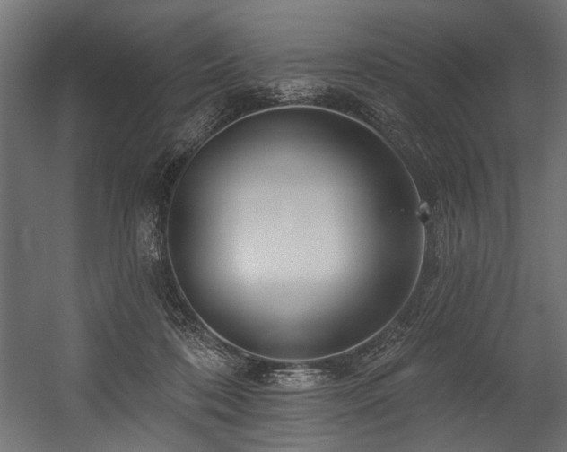 X0000054440316200507291324