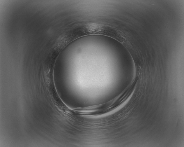 X0000054440319200507291324