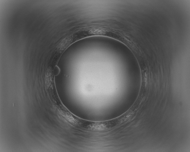 X0000054440322200507291324