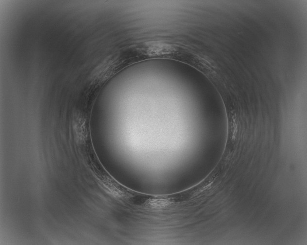 X0000054440327200507291324