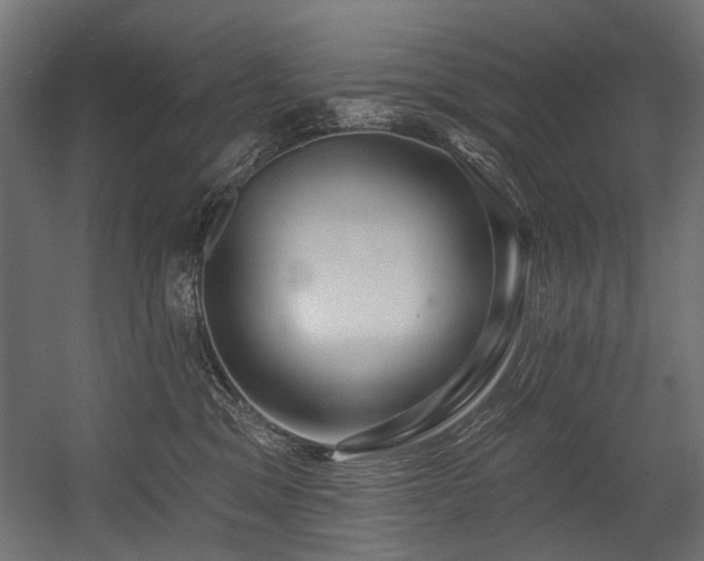 X0000054440329200507291324
