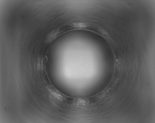 X0000054440330200507291324
