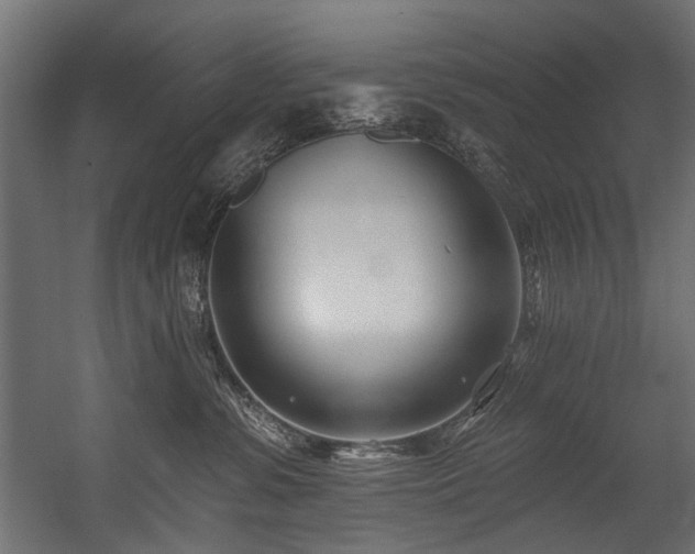 X0000054440331200507291324