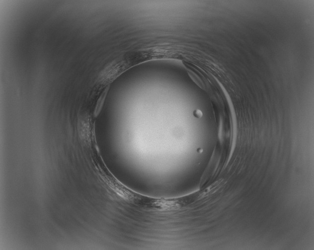 X0000054440333200507291324