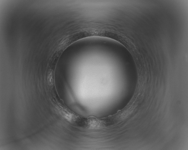 X0000054440336200507291324