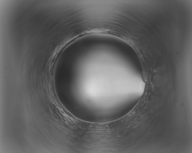 X0000054440337200507291323