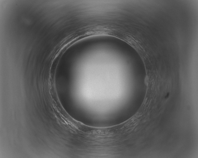 X0000054440338200507291323