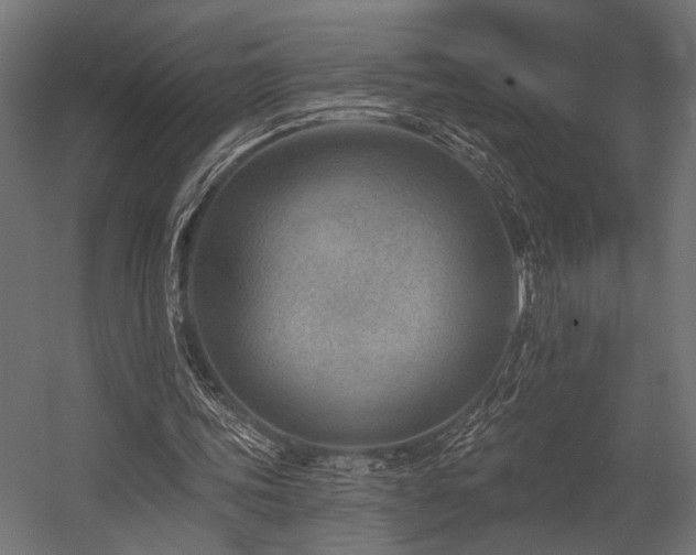 X0000054440339200507291323
