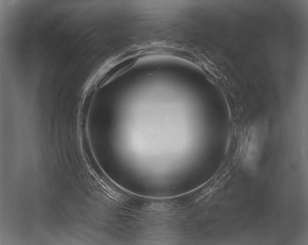 X0000054440341200507291323