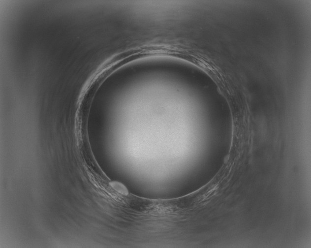 X0000054440343200507291323