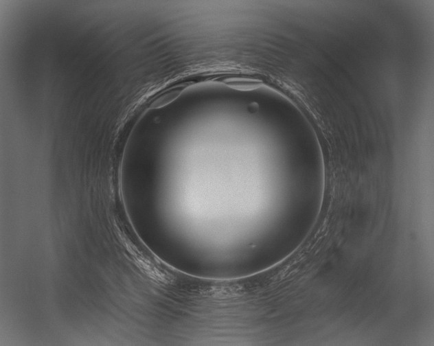 X0000054440345200507291323