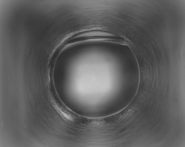 X0000054440350200507291323