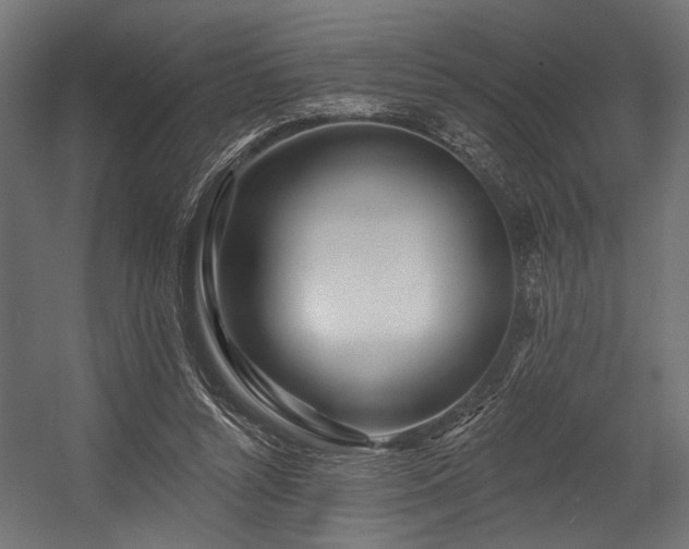 X0000054440352200507291323