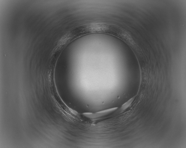 X0000054440357200507291324