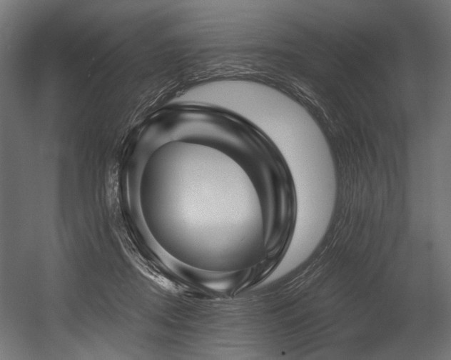 X0000054440362200507291324