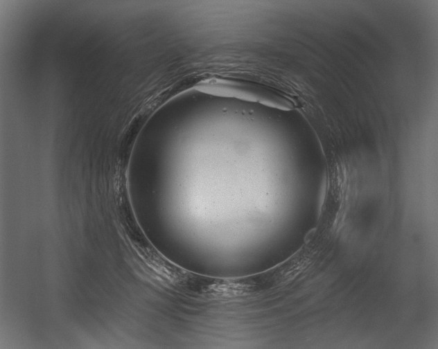 X0000054440367200507291324