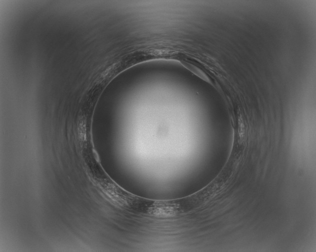 X0000054440368200507291324