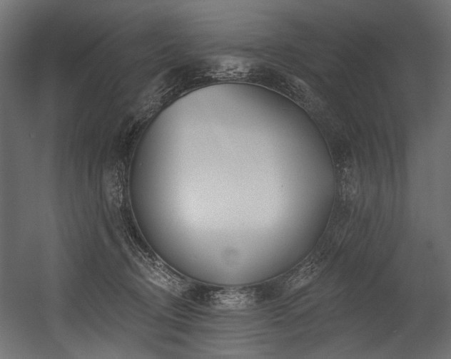 X0000054440370200507291324
