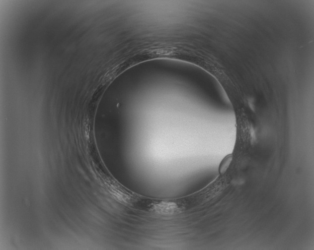 X0000054440374200507291324