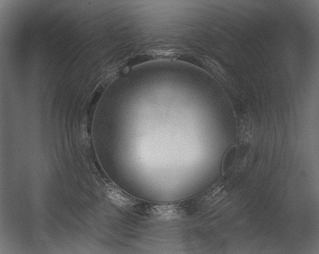 X0000054440377200507291324