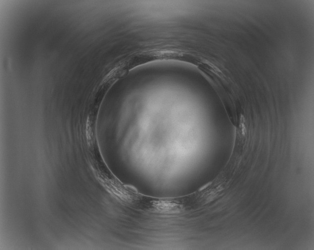 X0000054440380200507291324