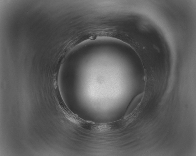 X0000054440383200507291324