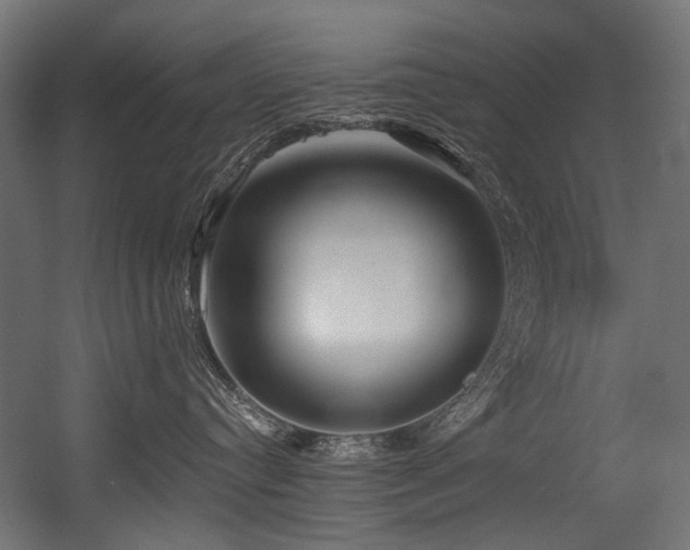 X0000054440384200507291324