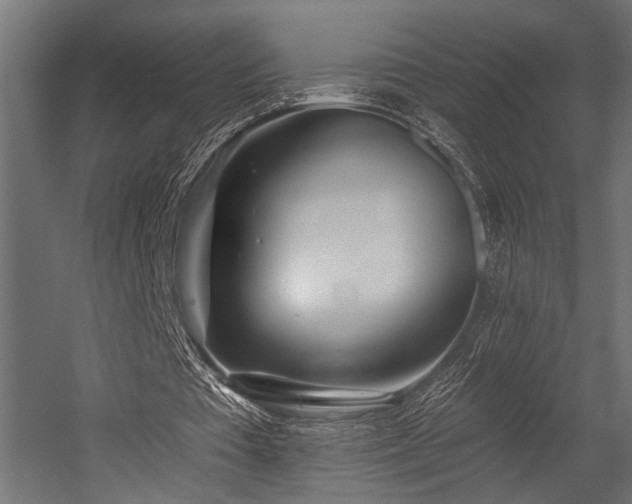 X0000054440385200507291323