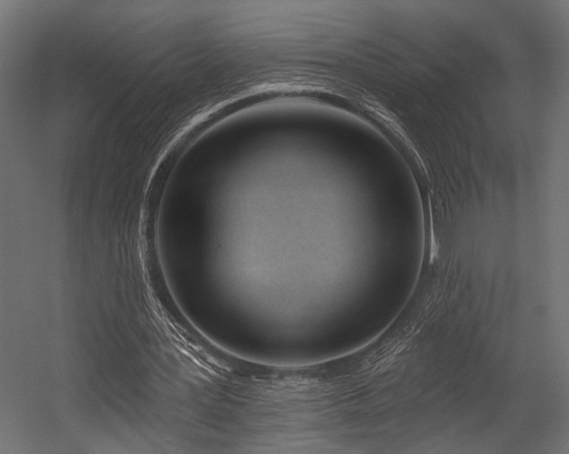 X0000054440387200507291323