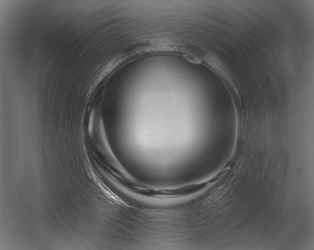 X0000054440389200507291323
