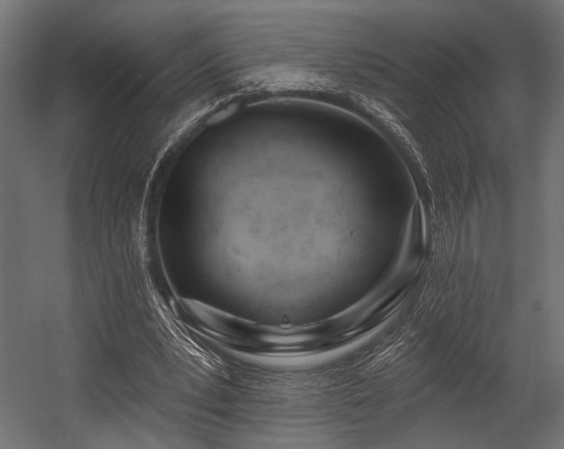 X0000054440391200507291323
