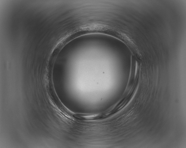 X0000054440392200507291323