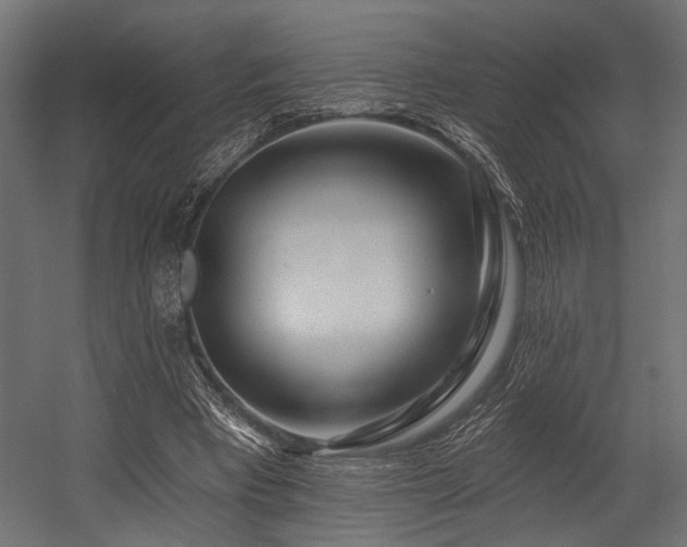 X0000054440393200507291323